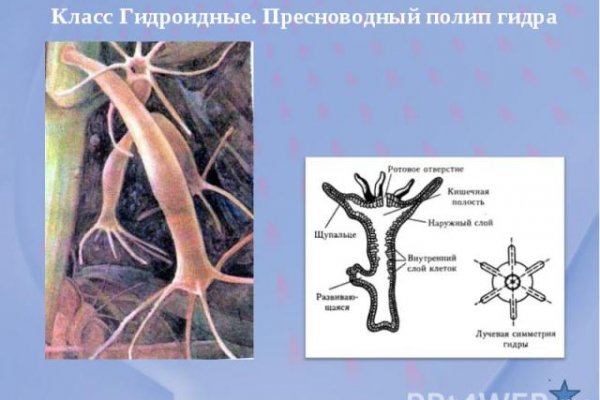 Кракен зеркало 2 веб