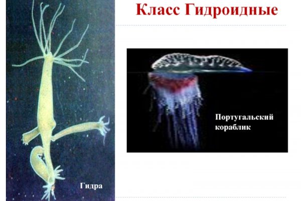 Ссылка кракен сегодня