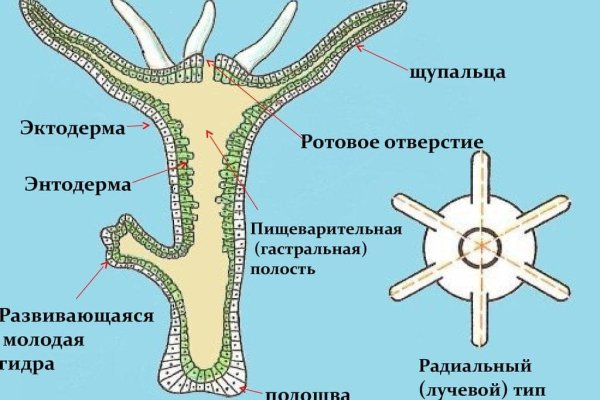 Зайти кракен через тор
