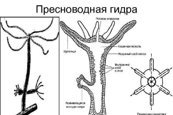 Магазины наркотиков