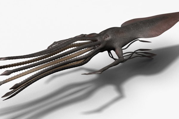 Kraken 18